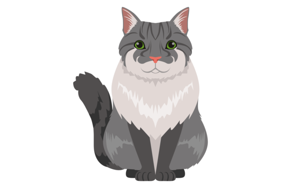 Bobtail Cat Gray Fur Animal: A Fluffy Pet Font Guide