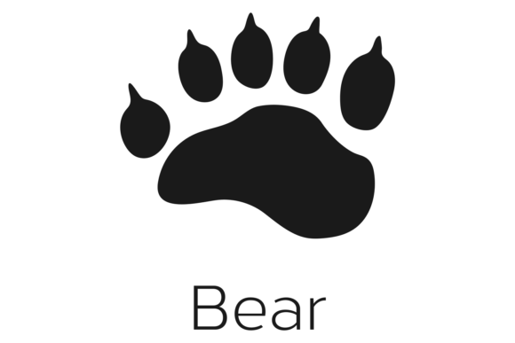 Forest Animal Trace: Black Bear Paw Print for Nature Brands