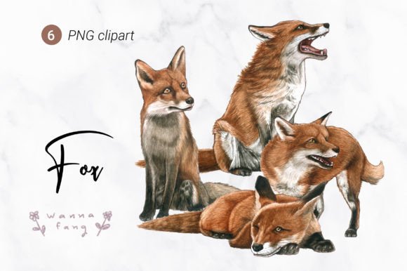 Fox Watercolor Animal Clipart, PNG: Whimsy for Modern Design