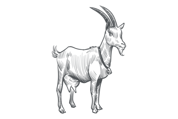 Goat Sketch: A Hand Drawn Farm Animal Design Asset
