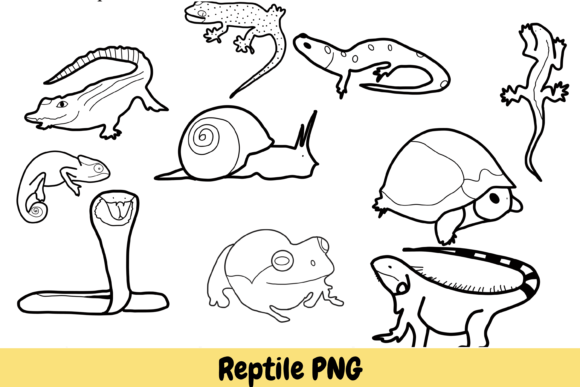 Unleash Creativity with Reptile Animal Hand Drawn PNGs